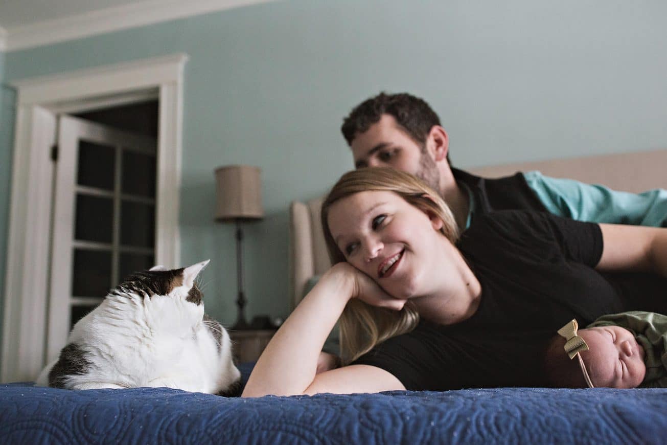 cat on bed with new parents tips on including your cat in your newborn images