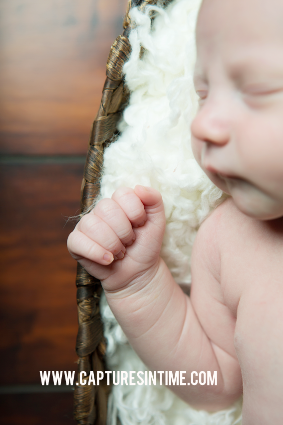 Newborn Shoot with Neutral Colors 
