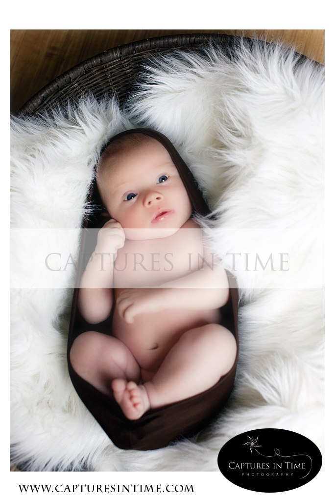Kansas City Newborn Photographer newborn in a cocoon