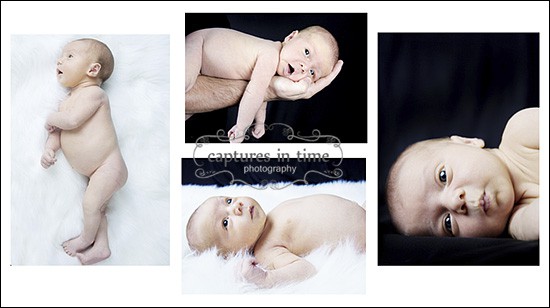 Kansas City Newborn Photographer collage white fur