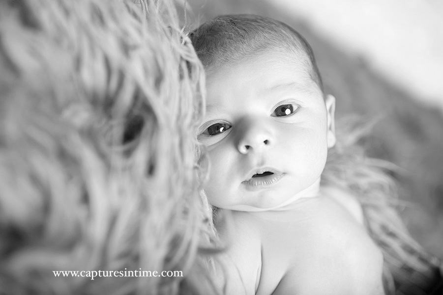 Sweet Newborn With Big Brother black and white of newborn baby boy with open eyes