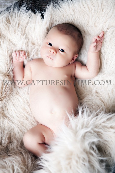 Kansas City Newborn Photographer baby surrounded by fur